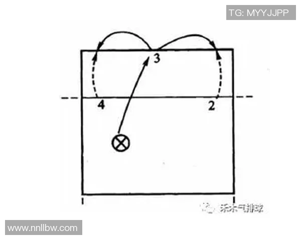 从零开始掌握排球技巧与战术提升全方位攻略与训练指南 从零开始掌握排球技巧与战术提升全方位攻略与训练指南