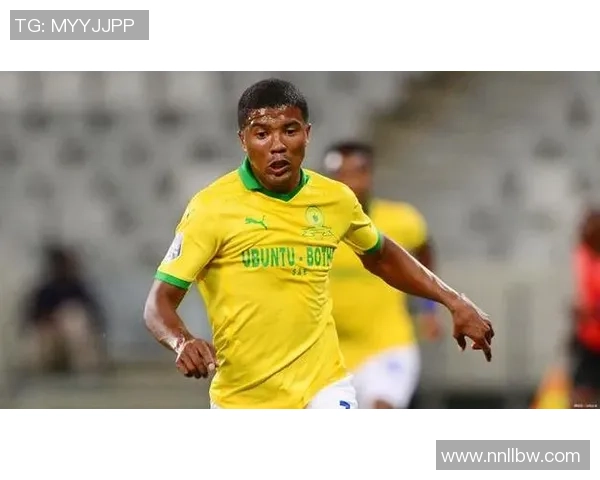 南非足球明星有哪些值得关注的球员及其成就揭秘