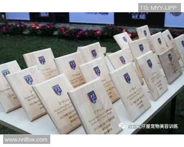 南京飞盘队与成都飞盘队赛后心理素质对比分析与反思