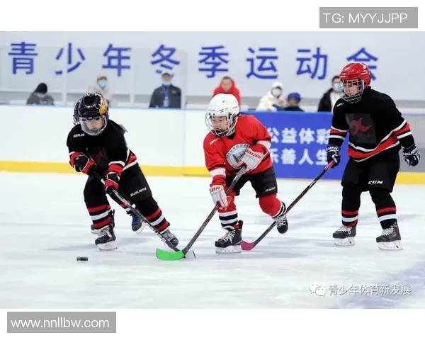 推动辽宁省足球事业发展助力青少年成长与体育文化繁荣