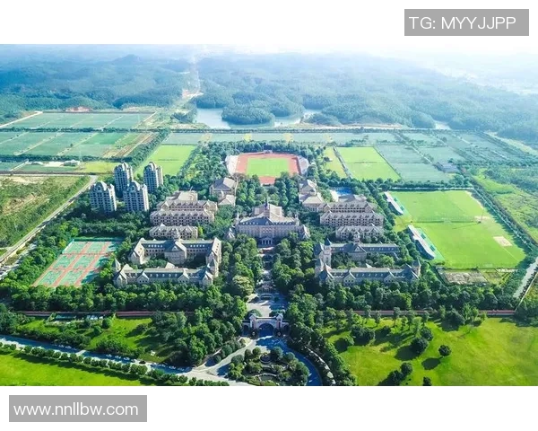 探索7人足球场地的设计与布局提升团队竞技水平的关键因素