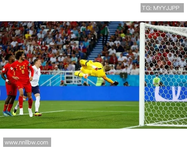 精彩足球赛事直播推荐助你轻松追踪每场比赛精彩瞬间